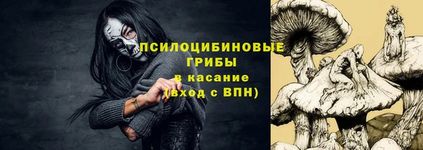 PSILOCYBIN Кодинск