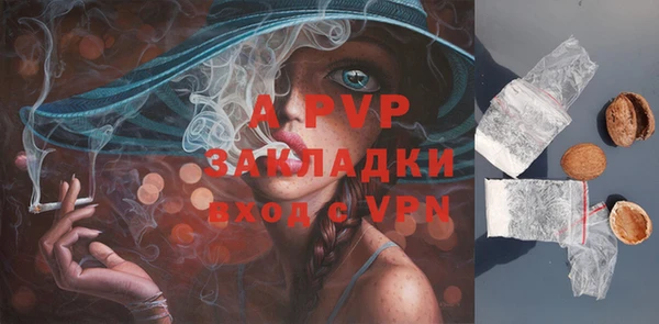 apvp Кинешма