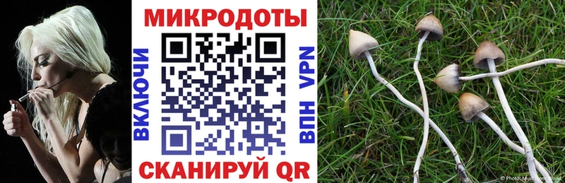 Псилоцибиновые грибы GOLDEN TEACHER  где можно купить   Кизел 