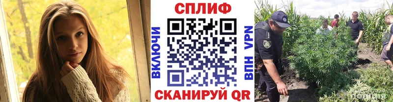 МАРИХУАНА планчик  Кизел 